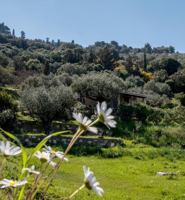 Vasilikí Villa Collina מראה חיצוני תמונה